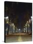 Park at Night, Padua, Italy-Chuck Haney-Stretched Canvas