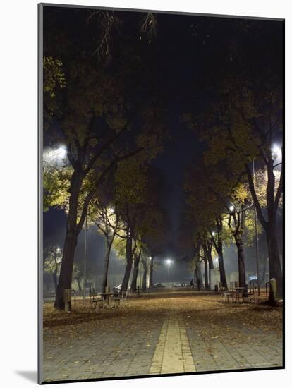 Park at Night, Padua, Italy-Chuck Haney-Mounted Photographic Print