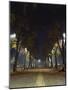 Park at Night, Padua, Italy-Chuck Haney-Mounted Photographic Print