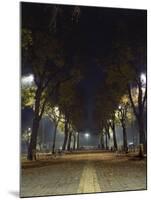 Park at Night, Padua, Italy-Chuck Haney-Mounted Photographic Print