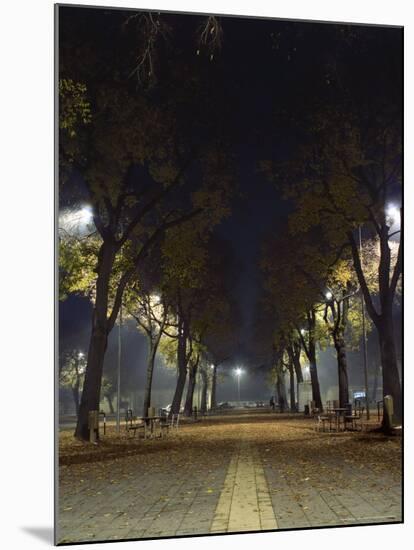 Park at Night, Padua, Italy-Chuck Haney-Mounted Photographic Print