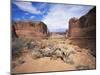 Park Avenue, Arches National Park, Moab, Utah, USA-Lee Frost-Mounted Photographic Print