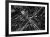 Park Avenue New York-Bruce Getty-Framed Photographic Print