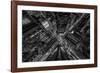 Park Avenue New York-Bruce Getty-Framed Photographic Print