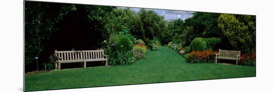 Park Bench in a Garden, Hillier Gardens, New Forest, Hampshire, England-null-Mounted Photographic Print