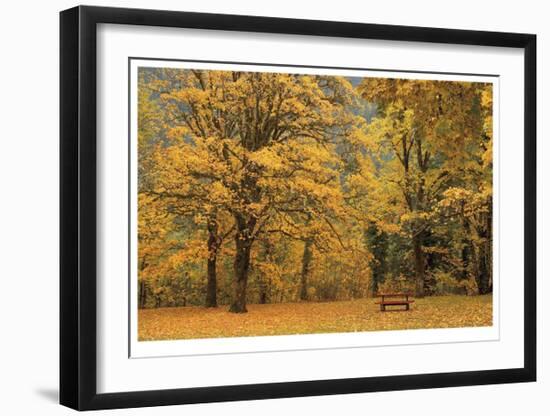 Park Bench in Fall-Donald Paulson-Framed Giclee Print