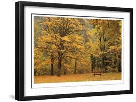 Park Bench in Fall-Donald Paulson-Framed Giclee Print