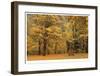 Park Bench in Fall-Donald Paulson-Framed Giclee Print