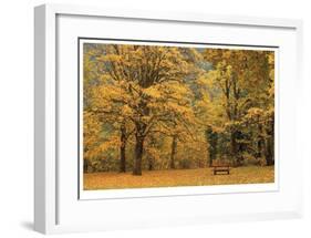Park Bench in Fall-Donald Paulson-Framed Giclee Print