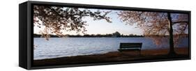 Park Bench with Jefferson Memoria in Background, Tidal Basin, Potomac River, Washington DC-null-Framed Stretched Canvas