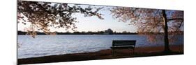 Park Bench with Jefferson Memoria in Background, Tidal Basin, Potomac River, Washington DC-null-Mounted Photographic Print