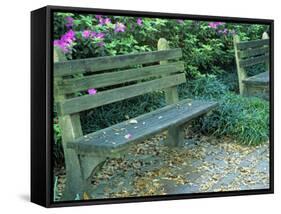 Park Benches in Town Square, Savannah, Georgia, USA-Julie Eggers-Framed Stretched Canvas