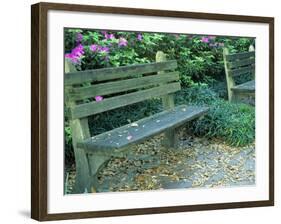 Park Benches in Town Square, Savannah, Georgia, USA-Julie Eggers-Framed Photographic Print