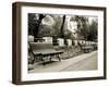 Park Benches-Katrin Adam-Framed Photographic Print