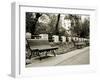 Park Benches-Katrin Adam-Framed Photographic Print