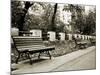 Park Benches-Katrin Adam-Mounted Photographic Print