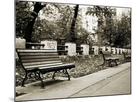 Park Benches-Katrin Adam-Mounted Photographic Print