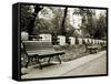 Park Benches-Katrin Adam-Framed Stretched Canvas