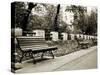 Park Benches-Katrin Adam-Stretched Canvas