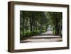 Park Borghese, Rome, Lazio, Italy, Europe-Frank Fell-Framed Photographic Print