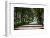 Park Borghese, Rome, Lazio, Italy, Europe-Frank Fell-Framed Photographic Print