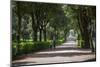 Park Borghese, Rome, Lazio, Italy, Europe-Frank Fell-Mounted Photographic Print