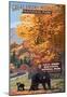 Park Entrance and Bear Family - Great Smoky Mountains National Park, TN-null-Mounted Poster