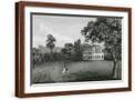 Brown Frame