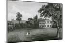 Wood Mount
