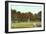 Park, Guilford, Connecticut-null-Framed Art Print