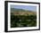 Park in a City, Ann Morrison Park, Boise, Ada County, Idaho, USA-null-Framed Photographic Print