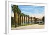 Park, La Jolla, San Diego, California-null-Framed Art Print