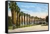 Park, La Jolla, San Diego, California-null-Framed Stretched Canvas