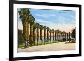 Park, La Jolla, San Diego, California-null-Framed Premium Giclee Print