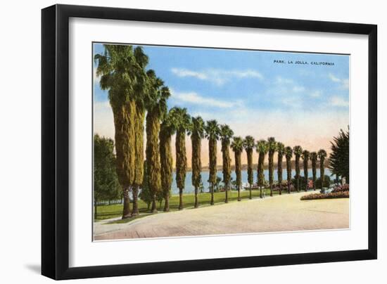 Park, La Jolla, San Diego, California-null-Framed Art Print