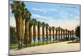 Park, La Jolla, San Diego, California-null-Mounted Art Print