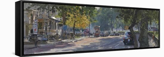 Park Lane, Summer, 2009-Peter Brown-Framed Stretched Canvas