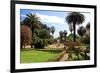 Park of the Villa Nobel in San Remo, Province of Imperia, Liguria, Italy-null-Framed Art Print