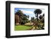 Park of the Villa Nobel in San Remo, Province of Imperia, Liguria, Italy-null-Framed Art Print