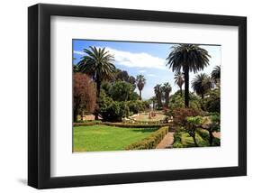 Park of the Villa Nobel in San Remo, Province of Imperia, Liguria, Italy-null-Framed Art Print