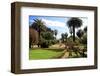 Park of the Villa Nobel in San Remo, Province of Imperia, Liguria, Italy-null-Framed Art Print