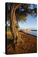 Park on the Coast of Lahaina, Maui, Hawaii, United States of America, Pacific-Michael-Stretched Canvas