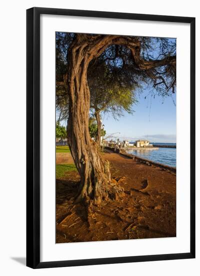 Park on the Coast of Lahaina, Maui, Hawaii, United States of America, Pacific-Michael-Framed Photographic Print