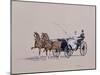 Park Phaeton, 1972-Ninetta Butterworth-Mounted Giclee Print