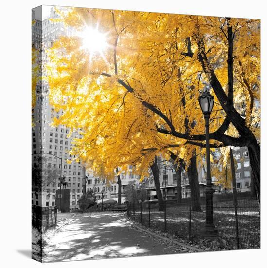 Park Pretty II-Assaf Frank-Stretched Canvas