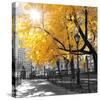 Park Pretty II-Assaf Frank-Stretched Canvas