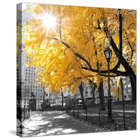 Park Pretty II-Assaf Frank-Stretched Canvas