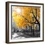 Park Pretty II-Assaf Frank-Framed Premium Photographic Print