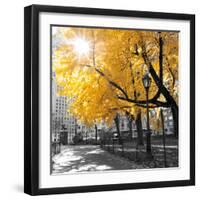 Park Pretty II-Assaf Frank-Framed Premium Photographic Print