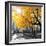 Park Pretty II-Assaf Frank-Framed Premium Photographic Print